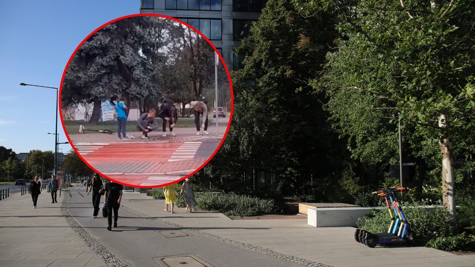 Nastolatkowie pomogli chłopcu zbierać kasztany