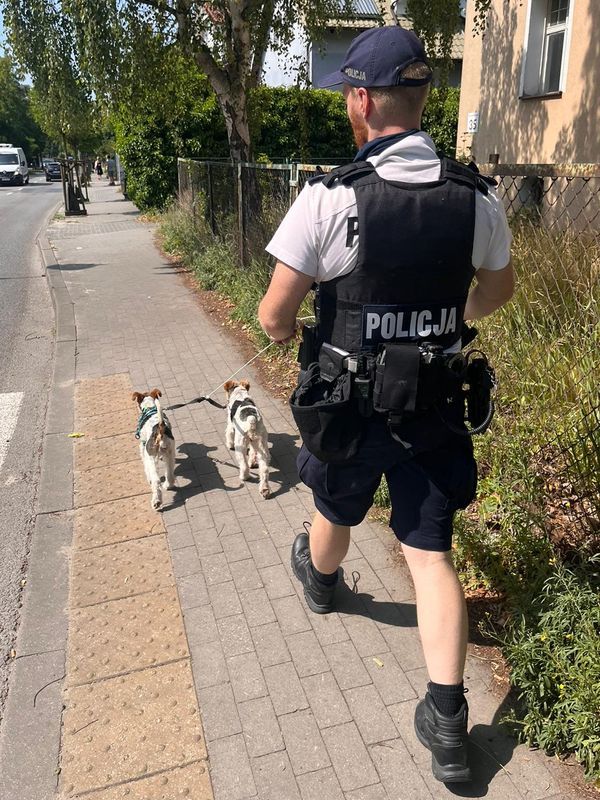 Jeden z interweniujących policjantów zabrał psiaki do domu