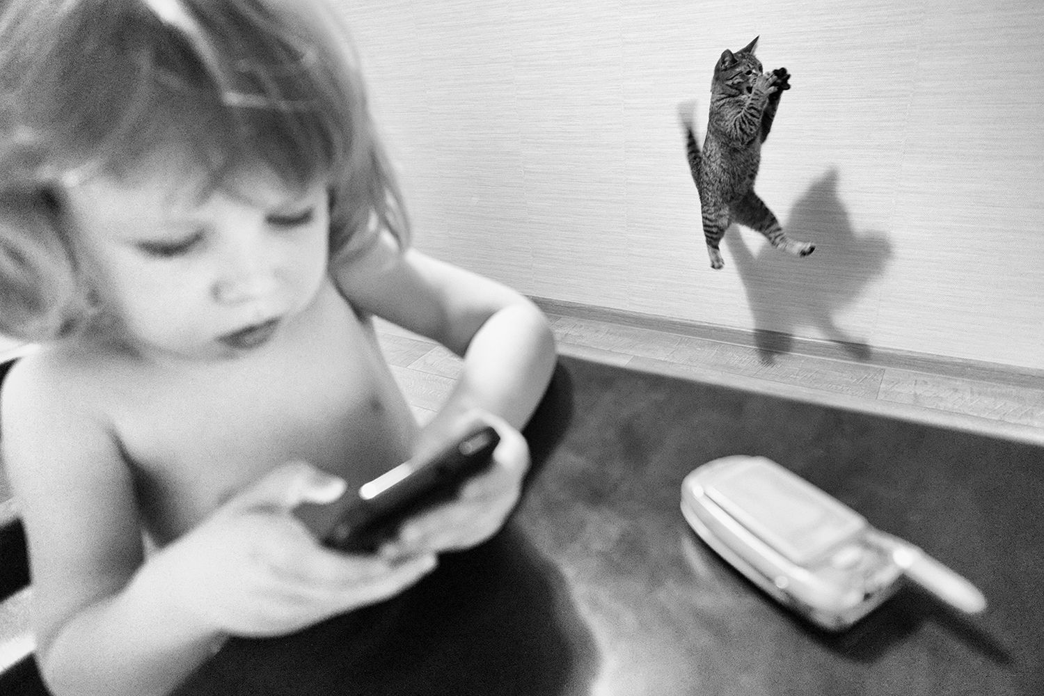 Sony World Photography Awards 2015 - przegląd najlepszych finałowych zdjęć 14