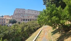 70-letni pirat IPTV zatrzymany. Grzywny zapłacili także jego klienci