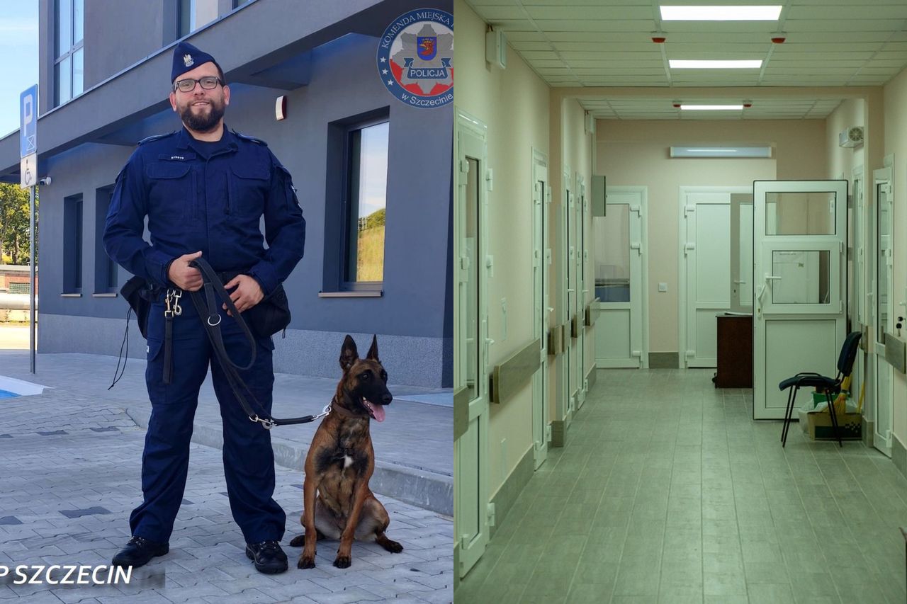 Policyjny pies Trafika bohaterem. Odnalazł 34-latka