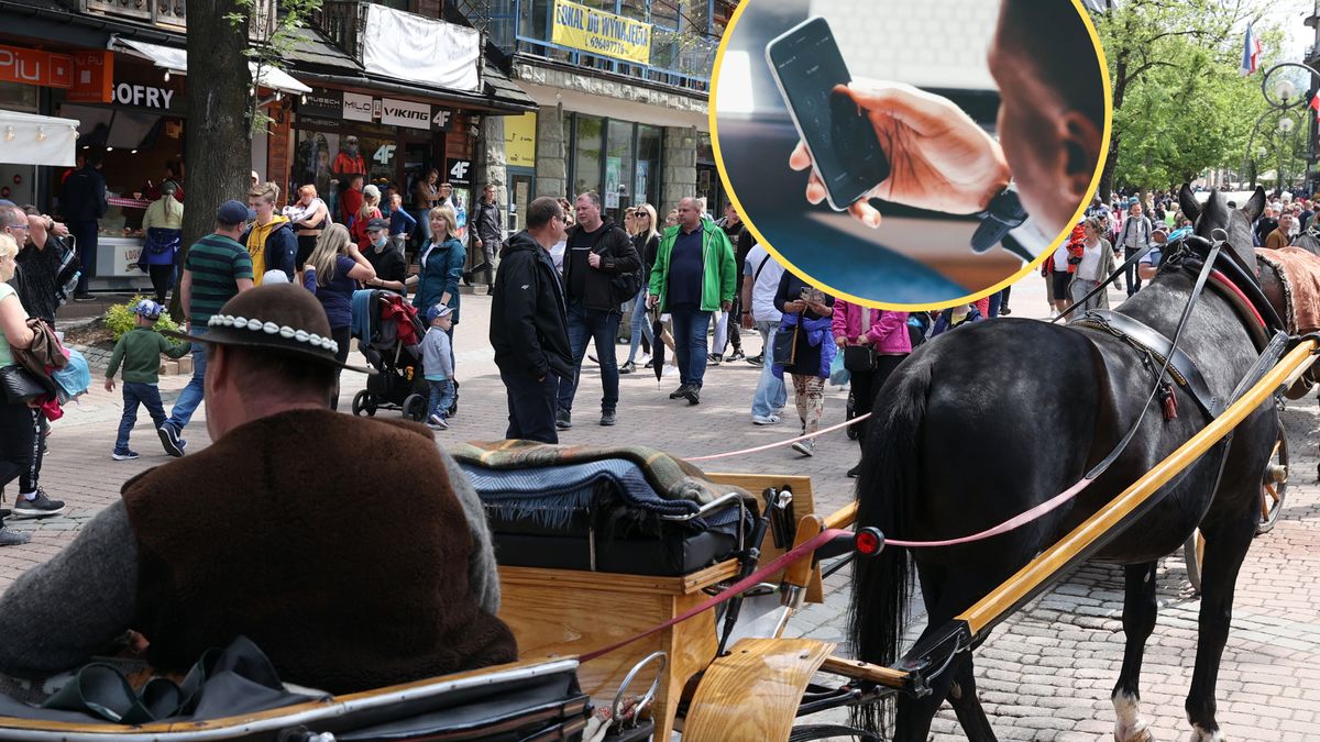 Policyjny dyżurny odebrał nietypowe zgłoszenie. Chodziło o... sarnę