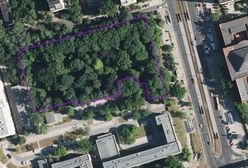 Warszawa. Jak uratować stuletni park przed deweloperem