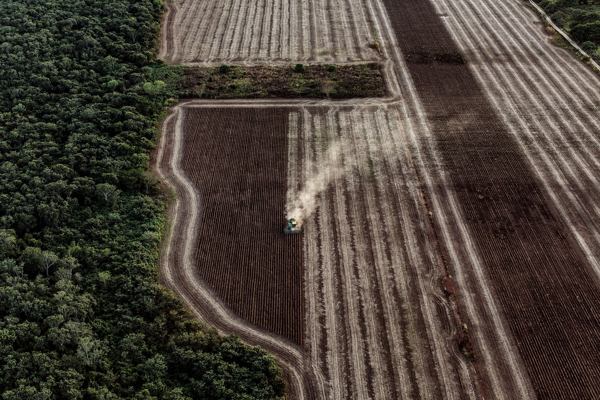 World Press Photo 2019 – znamy nominowanych fotografów 43