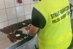 Rosjanie wpadli na granicy. Przemycali błyskotki z obwodu