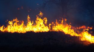 Tatry: Katastrofa sprzed 20 lat. Spłonęło 230 hektarów lasu