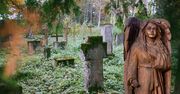 Stary cmentarz ewangelicki w Pleceminie. Zapomniane miejsce z duszą