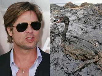 Brad Pitt: "Szefowie BP zasługują na karę śmierci!"