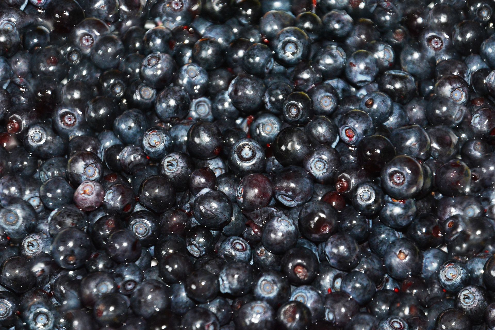 Superowoce lata! Jagody, borówki i czarne porzeczki – która odmiana króluje pod względem zdrowia?