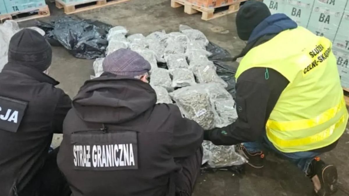 Udaremniony przemyt narkotyków