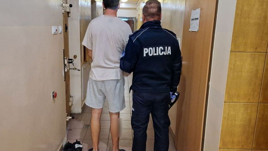 Fot. Licencjodawca