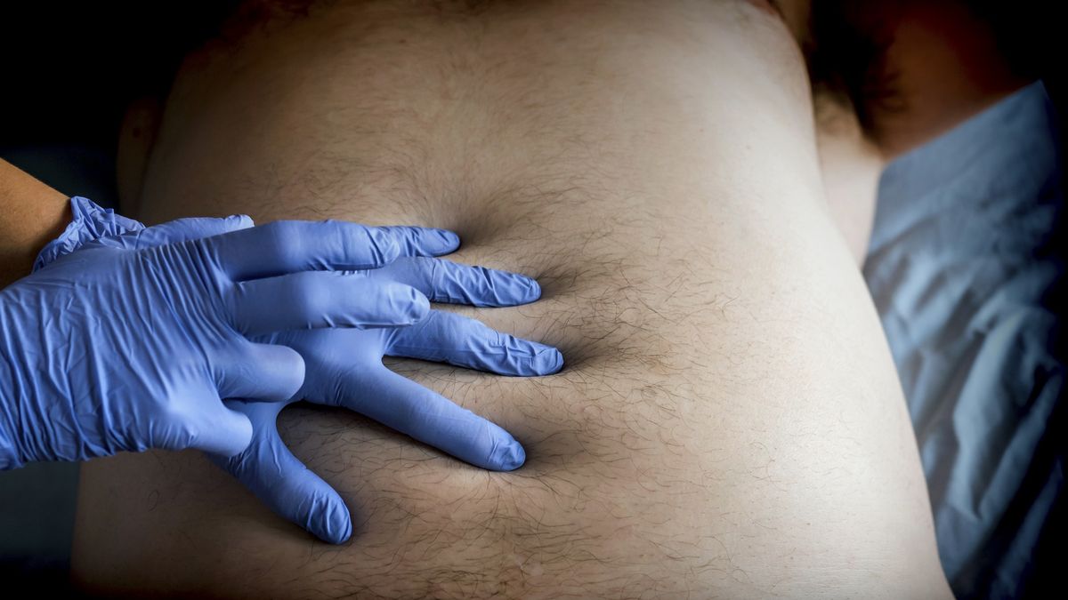 Doctor preparing abdominal palpation in a hospital
Doctor preparing abdominal palpation in a hospital
digicomphoto
medical, abdominal, health, examination, professional, practitioner, palpation, clinic, sick, person, treatment, physician, diagnosis, man, lying, belly, consultation, touch, treat, tummy, clinical, caucasian, investigating, palpates, examine, cancer, pulsatile mass, diagnose, study medic, consulting, abdominal pain