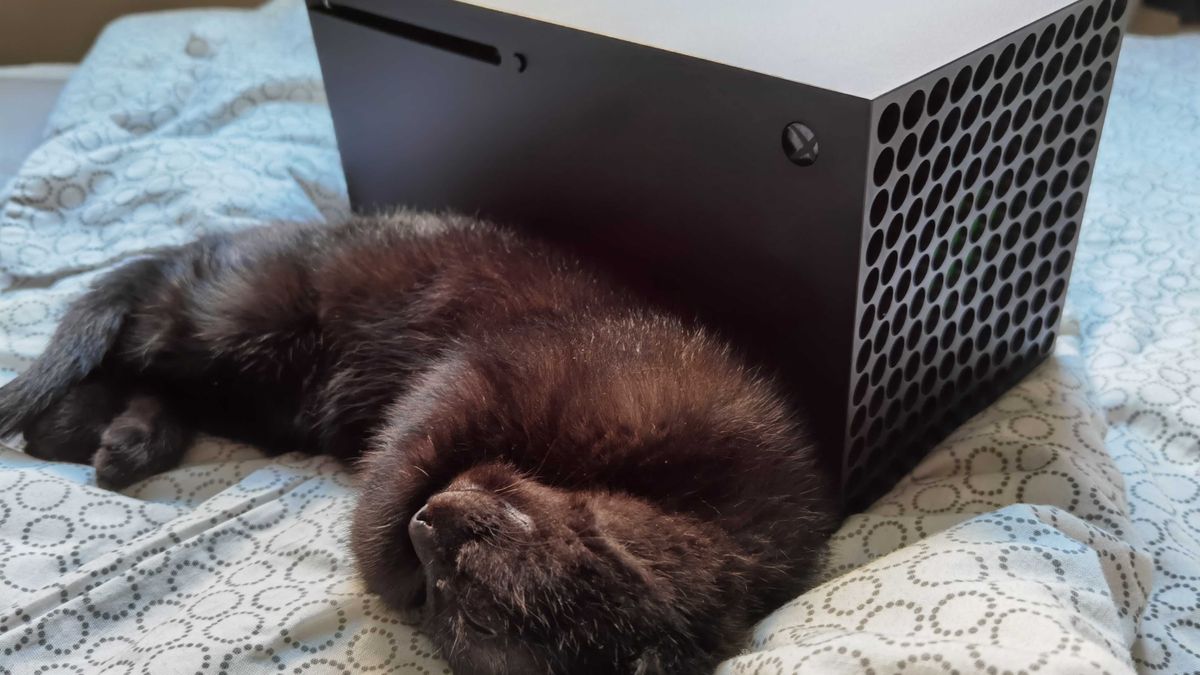 Kot Geralt i Xbox Series X