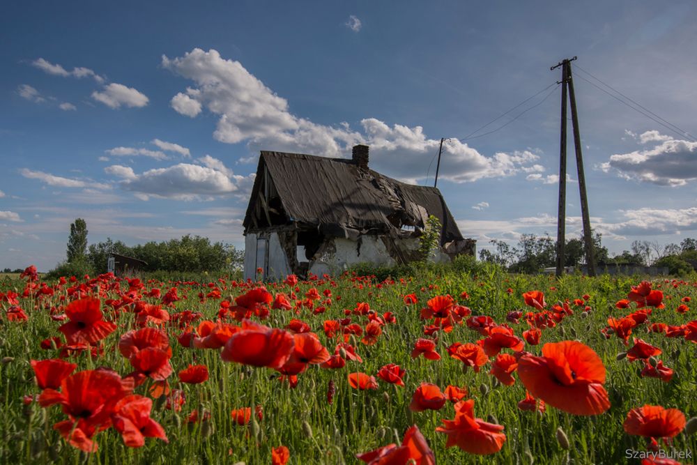 Historia pewnej chatki pod Warszawą. To tajemnicze miejsce przyciąga go od lat 18