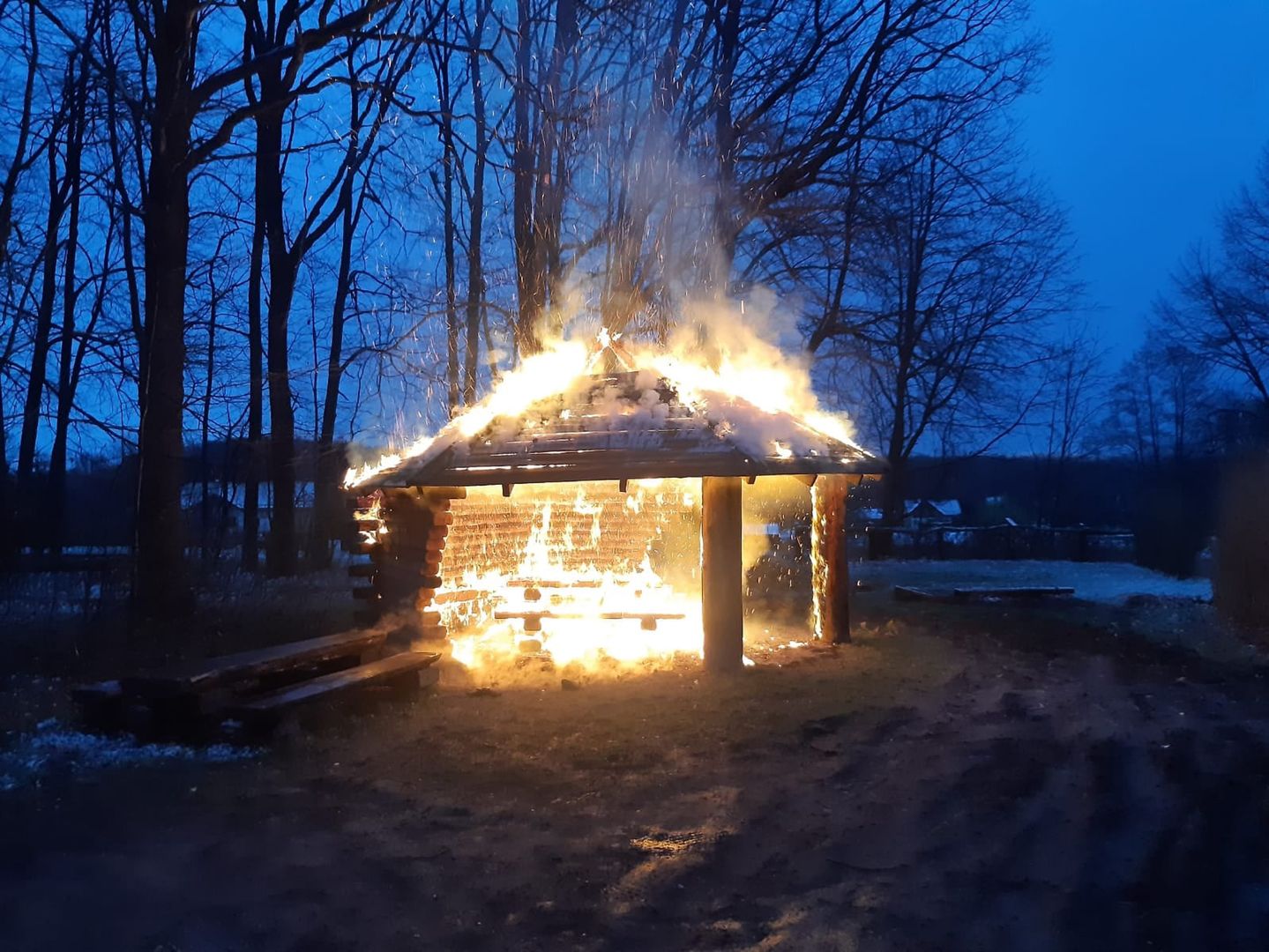 Leśnicy podejrzewają podpalenie