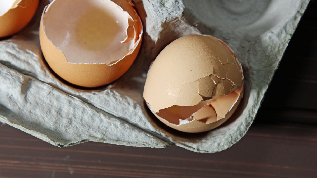 Nigdy więcej nie wyrzucaj skorupek jajek