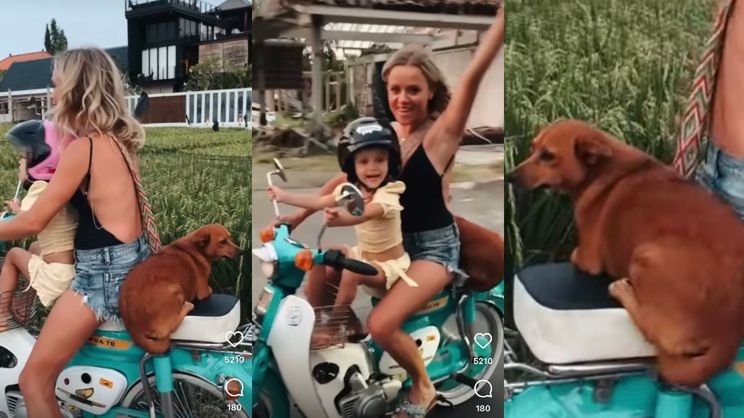 Anna Skura pędzi na skuterze z dzieckiem i psem bez zabezpieczenia