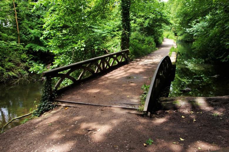 Warszawa: Powstały nowe ogrody biocenotyczne w trzech dzielnicach