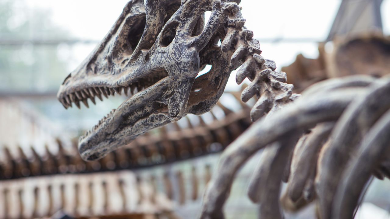 Dinozaur