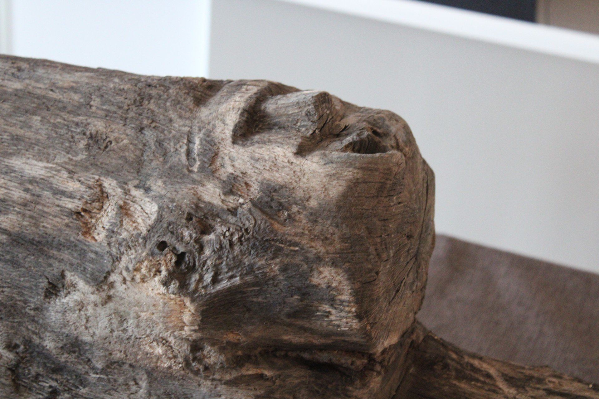 Niezwykłe znalezisko z dna jeziora Lednica! Zobacz, co odkryli podwodni archeolodzy z UMK w Toruniu