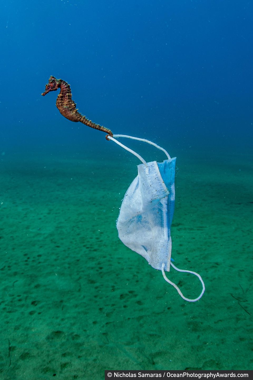 Najpiękniejsze zdjęcia oceaniczne, jakie zobaczysz. Aż nie chce się wierzyć, że są prawdziwe 7
