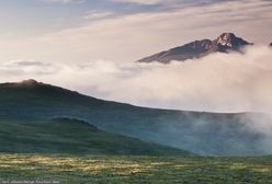 Szokująca śmierć rodziny. Chcieli żyć "off line" w Kolorado