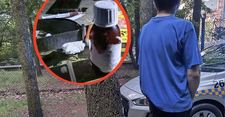 Zatrzymali go przy zoo. Chował się przy wybiegu dla niedźwiedzi