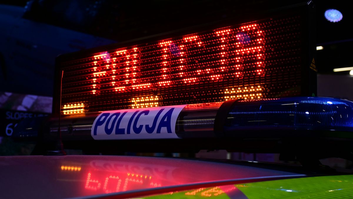 policja