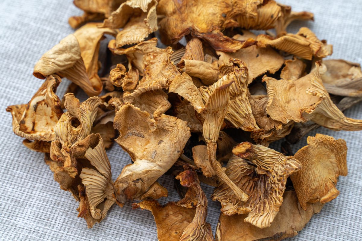 Dried mushrooms will enhance the flavor of many dishes.