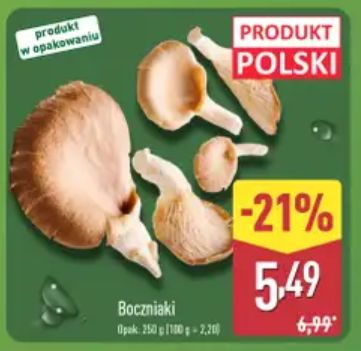 Boczniaki dostępne w dobrej cenie w dyskontach