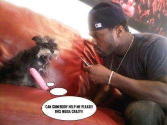50 Cent grozi psu nożem! (ZDJĘCIA)
