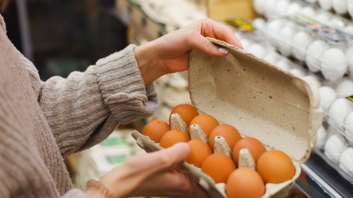 jaja, jajka, jajo, jajko