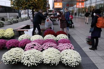 Handel. 180 mln zł – tyle na początek rząd przeznaczy na zakup cmentarnych kwiatów