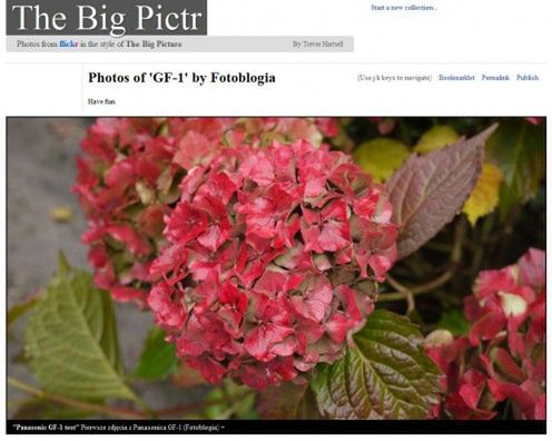 Flickr w stylu Big Picture 1