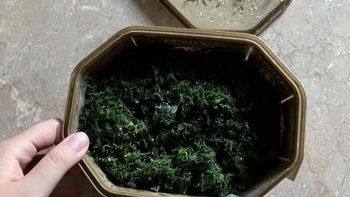 Pudełko po lodach na koperek? Ten domowy trik nie należy do zdrowych