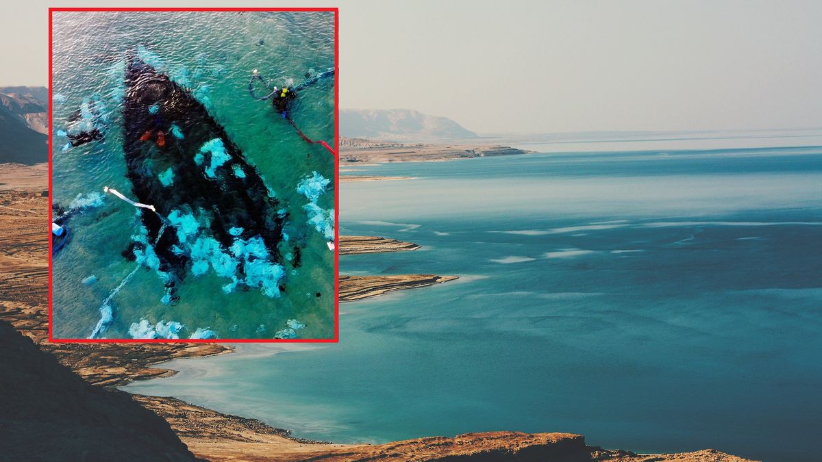 Statek został znaleziony u wybrzeża Izraela.