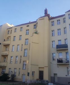 Wrocław. Domki dla jerzyków gotowe. Czekają na pierwszych lokatorów