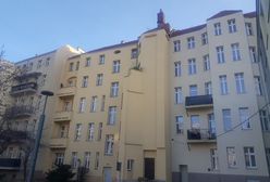 Wrocław. Domki dla jerzyków gotowe. Czekają na pierwszych lokatorów