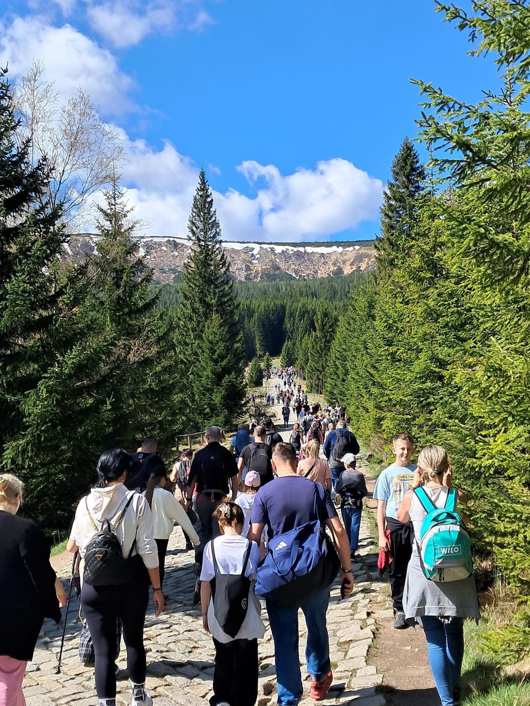 Wielu turystów pojawiło się w Karkonoszach.