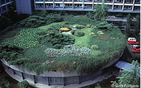 TOP 10: Zielone dachy, czyli architektura z polotem 4