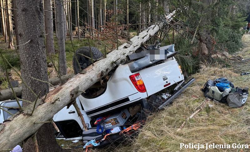 Ściął dwa świerki, auto dachowało
