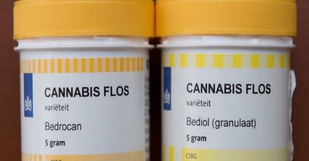 Marihuana. Kto się kwalifikuje do leczenia konopiami?