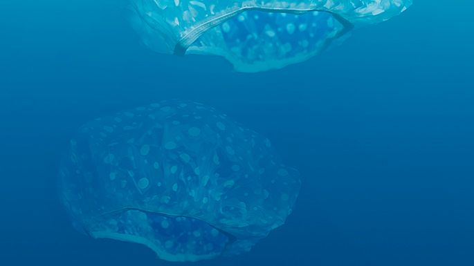 Ocean plastiku – gdyby śmieci zastąpiły ryby [inspiracje] 1