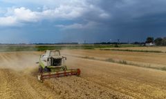 Obcy kombajn wymłócił jego zboże. "Serce nam pęka"