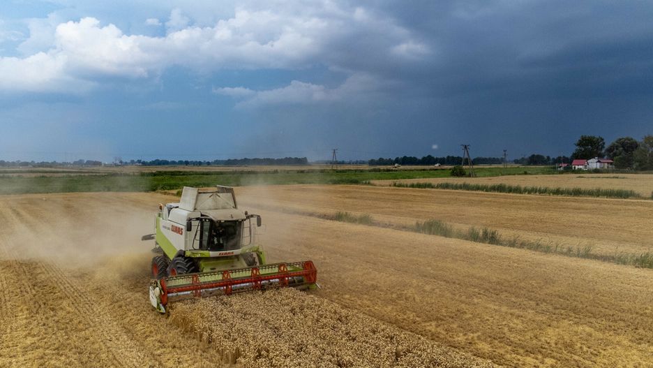 Kombajn przygniótł rolnika. Zdjęcie ilustracyjne