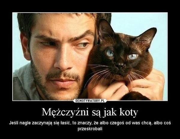 Najlepsze memy na Dzień Mężczyzny 