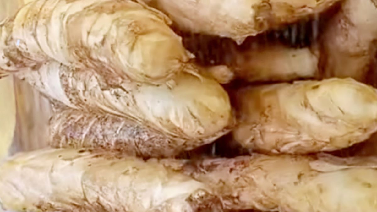 Maranta trzcinowa to jeden z najłagodniejszych składników dla układu pokarmowego.