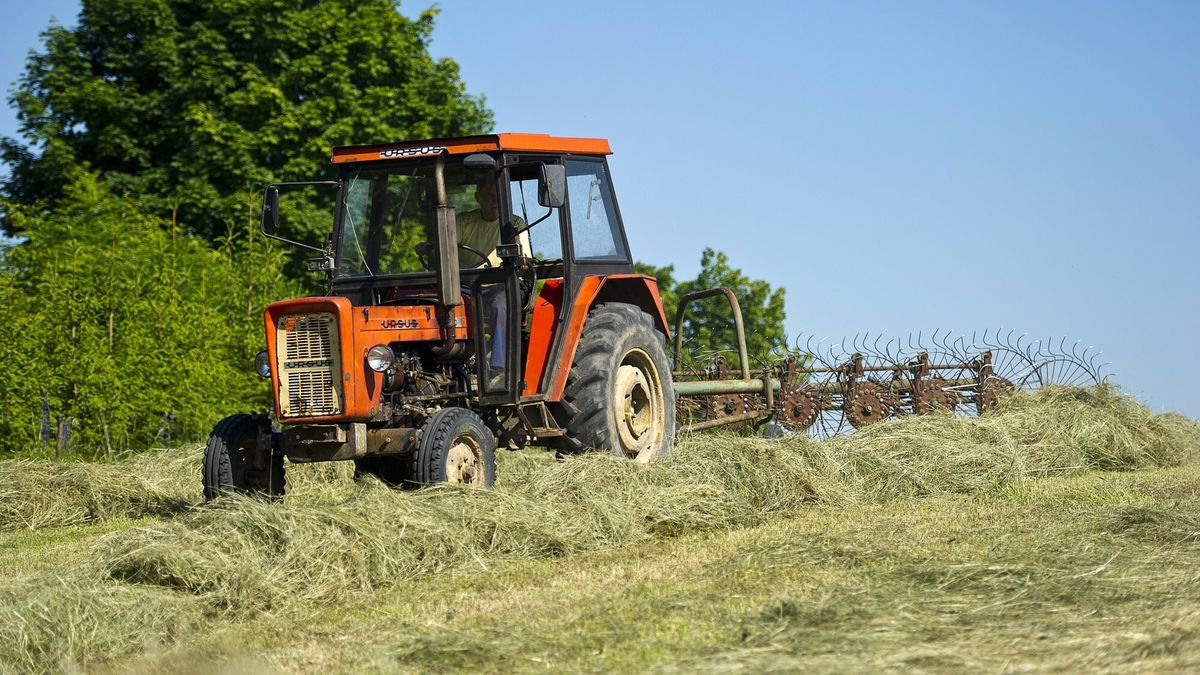 Rolnik, traktor, ciągnik Ursus
