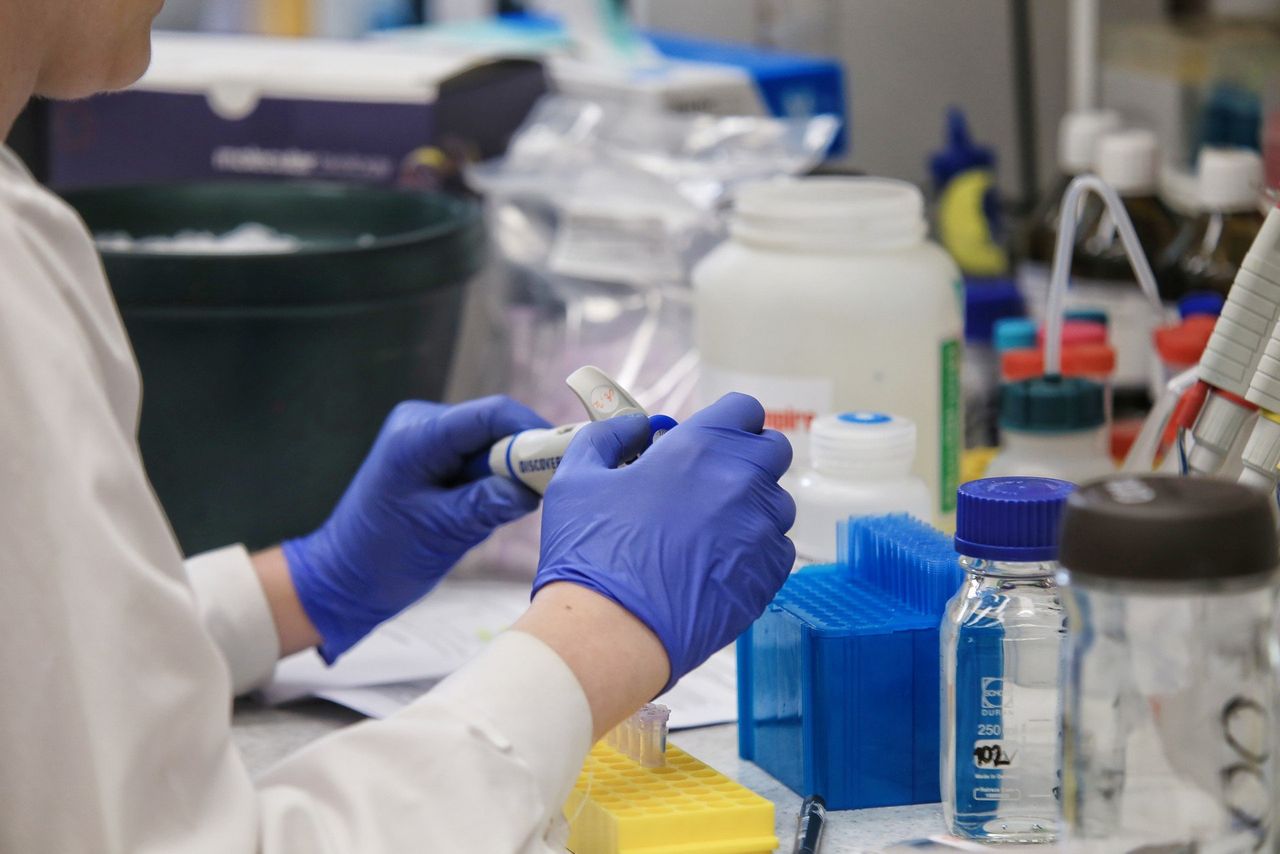 Słupsk: Program profilaktyki boreliozy dla dorosłych mieszkańców