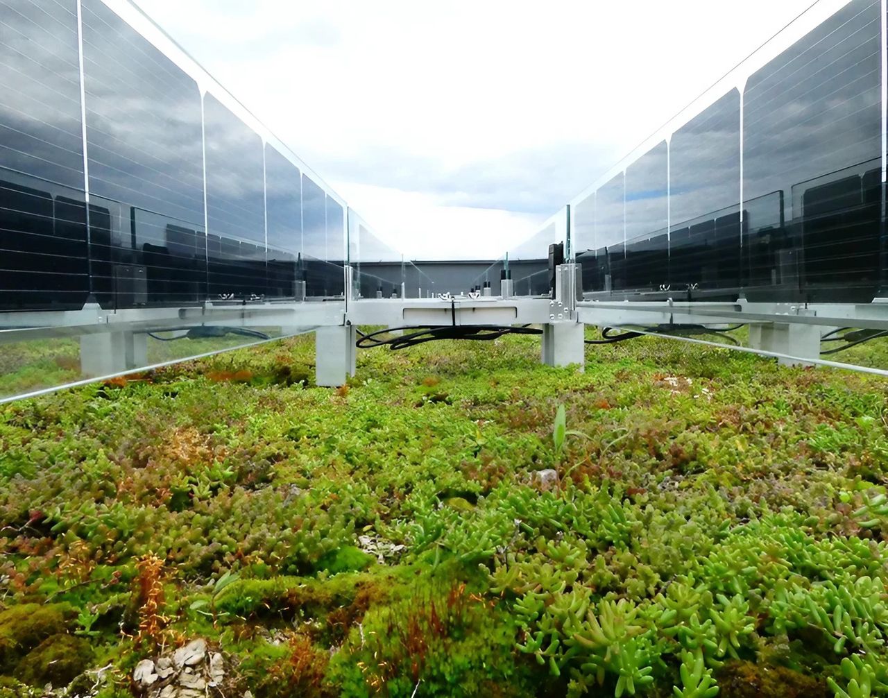 Norwegian firm unveils vertical solar panels boosting green rooftops